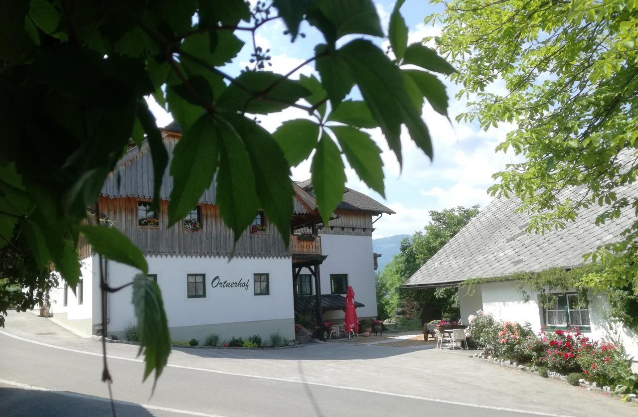 Bed and Breakfast Ortnerhof Ennstal Aigen im Ennstal Zewnętrze zdjęcie